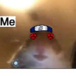 Big pro hamster