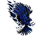 Blue Falcon Pirates