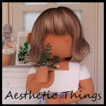 a~e~s~t~h~e~t~i~c t~h~i~n~g~s