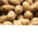 Potato Twins