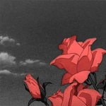 still047811