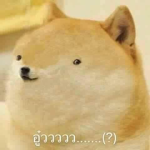 lpdgosdfp235