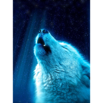 <>Love animals<>
