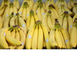 ThemoldyBANANA