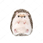 Hedgehog Heros