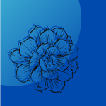 The Blue Blossoms