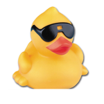 Ducky duck duck group