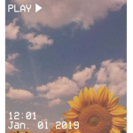 ~Vibess~