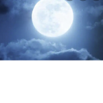 ~: LUNAR WINGS :~