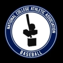 NCAA Baseball League Server icon
