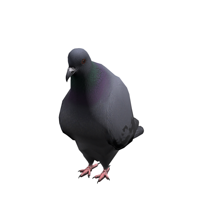 Gray Pigeon Suit