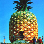 PDz/PINEAPPLEDZ