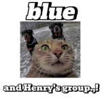 Blue's and Henry's Group