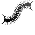 Centipede 正義