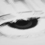 7xSylo