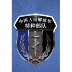 [BOG]特种部门Special operationsground forces