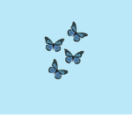 Pretty butterflies!