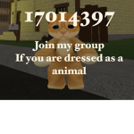 ..Pet-group..