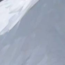 .·:¨༺꒱‿⊹‿꒰༻¨:·.