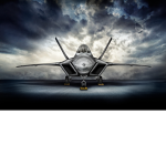 The F-22 raptor group