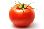 tomatoss