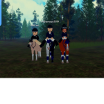 Horse Comps