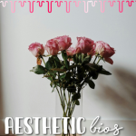 |~Aesthetic Bios~|