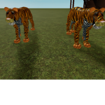Tiger Fan