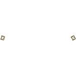 13TH PCT Jacket pins