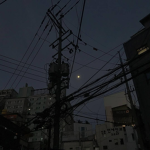 。T R A S H G A N G 。
