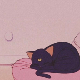 ˚୨୧⋆｡˚ ⋆