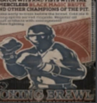 BOXING _CHAMPIONS