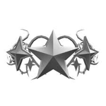 [T.S.S.] The Silver Star