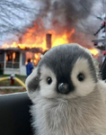 Penguin’s clothes