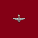 [JUK] The Parachute Regiment