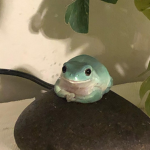 Froggy addict club