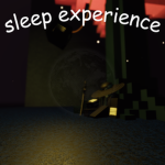 sleep experience