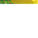 S.E. Survival Experts