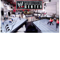 ~~~~~The Gym of Performance~~~~~