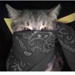 KAB (KILL ALL BLUDZ)