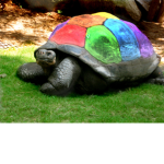 bloxy turtle group