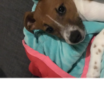 Coco :mesbff