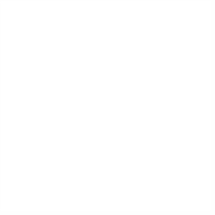 White Roblox decal