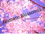 Aesthetic Blossomss