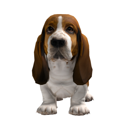 Carry a Basset Hound Puppy Roblox item