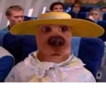 a z a r a s h i