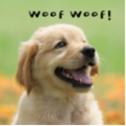 Dogs And Stuff (2K!!!)