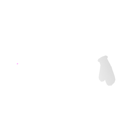 White Cat Paws