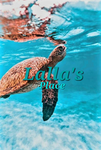 Lalla's place <3