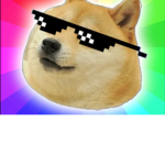 Doge kingdom hangout
